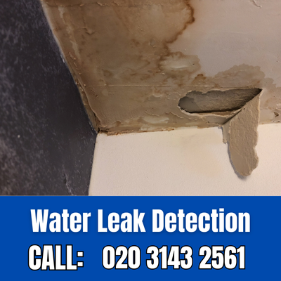 Expert Water Leak Detection Services in Regent's Park | Regent's Park Leak Detection